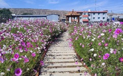 猛烈碾压他的敏感点BL